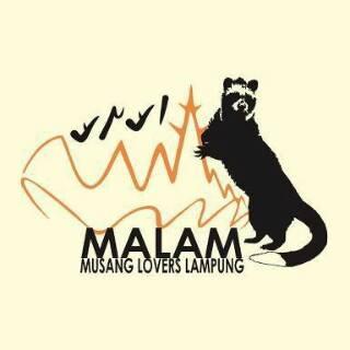 musang lovers indonesia regional lampung (MALAM) contack person : Yolanda (082306054528) dani adesta (0821 86543698) untuk pin request saja #savemusang