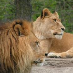 79keli's profile picture. 