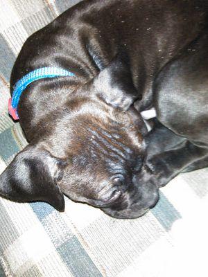 gonzo_trinity's profile picture. I always follow back