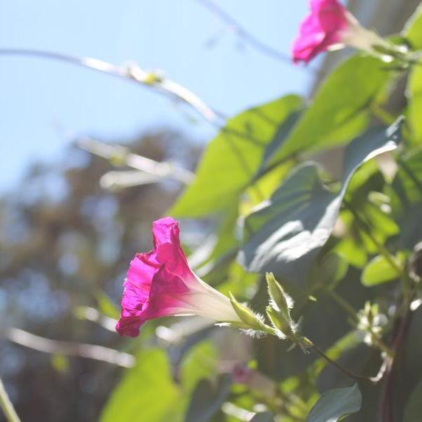 Capturing the smaller things in life