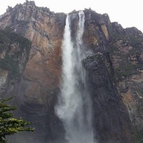 amparospin's profile picture. 