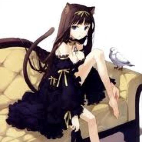 I am a Demon Neko from Hell, I am really shy but open to those I get to know more, I lost my memory to and I'm slowly gaining it back, I'm single.
