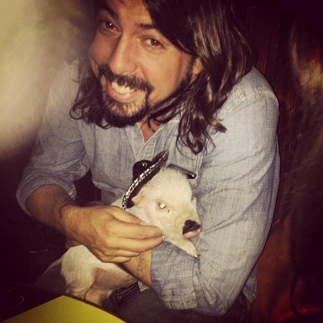 FooandFests's profile picture. Dedicated to The Foo Fighters and Music Festivals