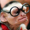 Ben Zito - @BenZito26 - Twitter