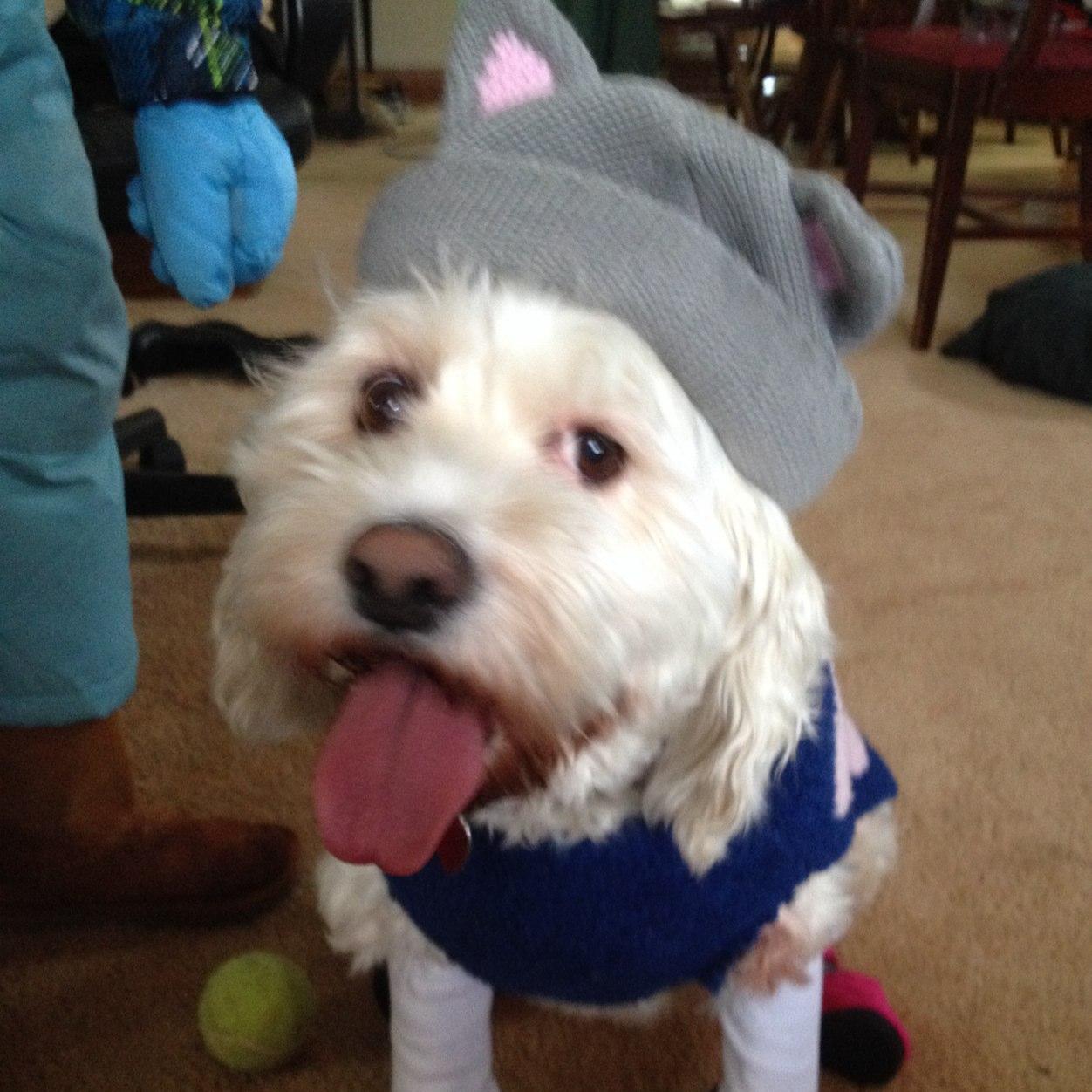 discoverspace's profile picture. 