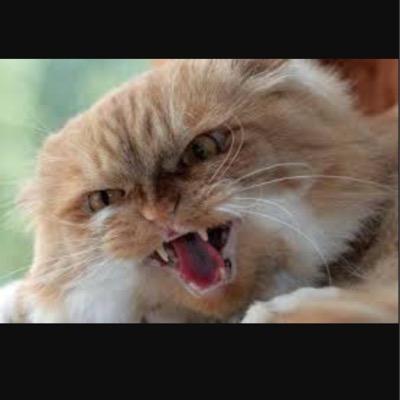 Attacking Phones for my followers . 
Message me the number you want me to attack .
Fav after attacking .
