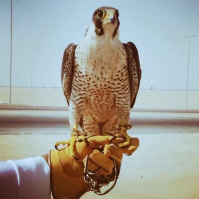 سعودي عربي مسلم اتعلَّم من الجميع مايفيد من معلومة أجهلها ومااكثرها بشر خطاء أحسن الظن بالجميع