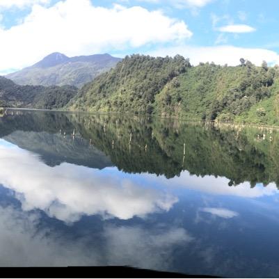 ecotimeshare's profile picture. 