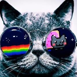 edmaster1985's profile picture. 