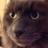 bkd2317's profile image