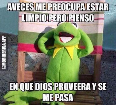 rositadorta1's profile picture. 