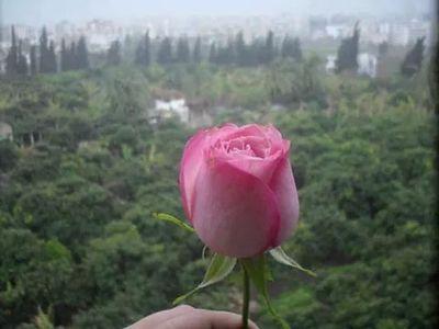 اللهم انا نسالك سعادة فى الدنيا و الاخره . وافوض امرى الى الله.
📖🔠