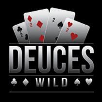 Let us be your wild card!