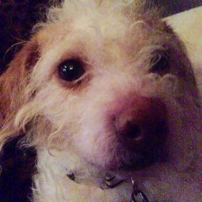 shoefrog74's profile picture. Husband, father, brother, Child of God, TBI Survivor, PTSD, contemplator of life. Love Jesus, family, cars, boats, wood, nature, music, coffee, & history