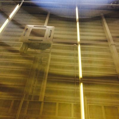 ogayako's profile picture. 