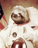 help I am now a sloth