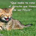 Heidi Mora - @heimimodo - Twitter