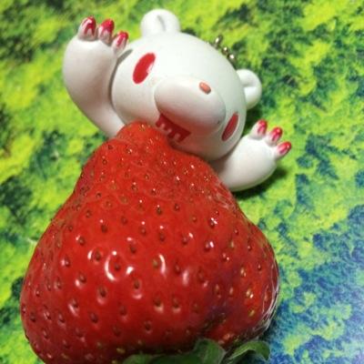 ピグモ T S 615 Twitter
