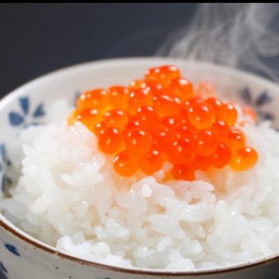 いくらご飯 Tm7 Ctq טוויטר いくらご飯 Tm7 Ctq טוויטר