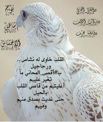 ‏‏ ‏ انا من ابها اهل الكرم والطيب والاصاله