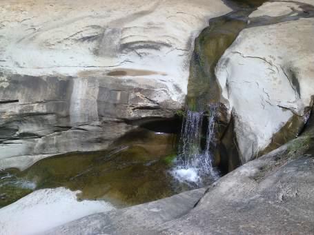 FetsotsoLikotsi's profile picture. 