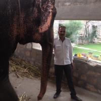 Pankaj Sharma (@travellersignat) 's Twitter Profile