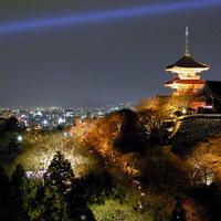 Kidman333a (@kidman333a) 's Twitter Profile