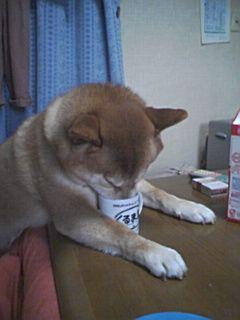 壊れたローレルに乗ってます。修理するけどまた壊れます宜しくお願いします。
