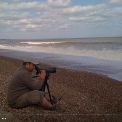 Brent Goose Observer & Ring Reader