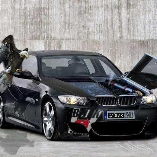 Efe1Gozde's profile picture. 