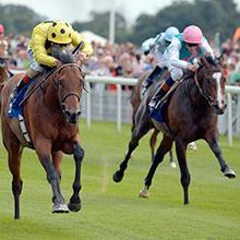 RogerBurrows3's profile picture. 