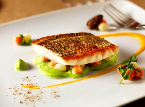 CatchNewEngland's profile picture. 