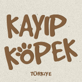 Kayıp Köpek Türkiye