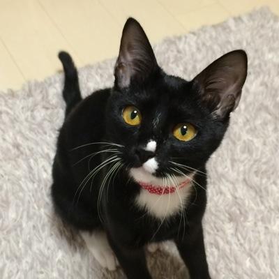 つぐみのママ★さんのプロフィール画像