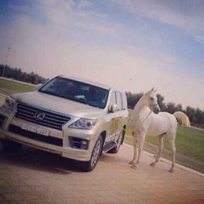 ‏طويل الذراع