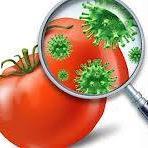 LeL_Consulting's profile picture. dei Dottori for. e Agr. Rocco Lapolla e Angelo Laurenzana             Progettazione rurale, ambientale e forestale e catasto, consulenza estimativa ed econom