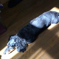 Yukka (@yukka_tt) Twitter profile photo