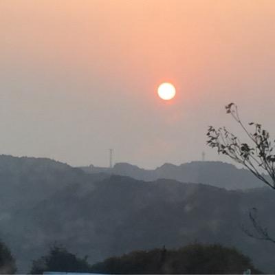 西洋医学は否定しませんが、抗ガン剤は絶対反対です。