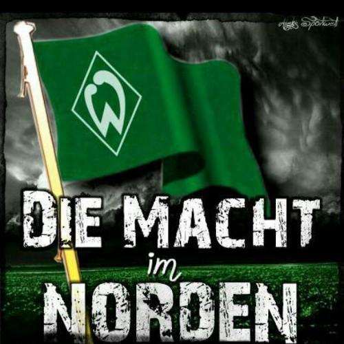 album_viridem's profile picture. Support ferebat, verum colore viridi et albo