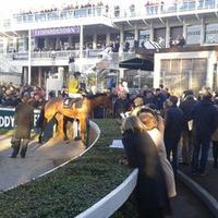 Morning Star Stud (@thompsonrock11) 's Twitter Profile