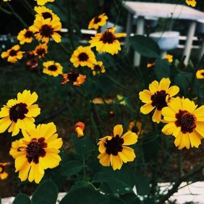 كل اللي اسويه اني اذكرك بذكر ربك  ، تابعني ❤️