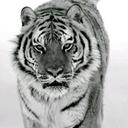 deb swenson - @Countrygirl33D - Twitter