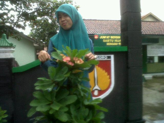 Campoes 75 kebumen |