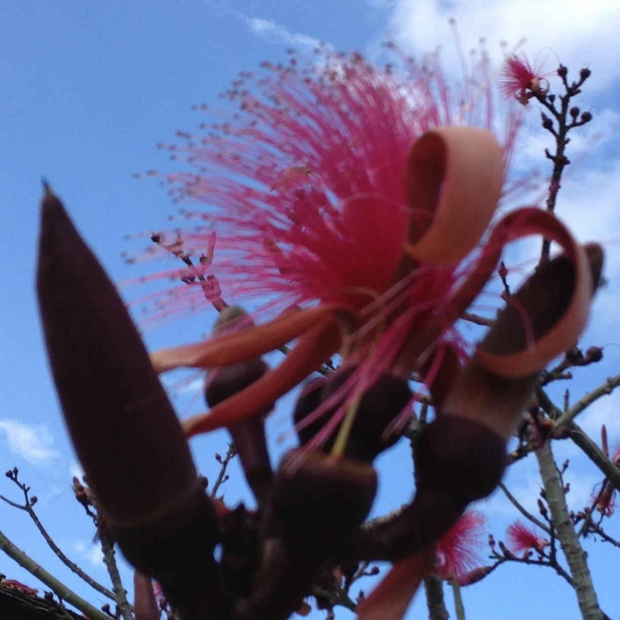 LindaLindar01's profile picture. Reorganising everyone and everything, but I cant organise me!