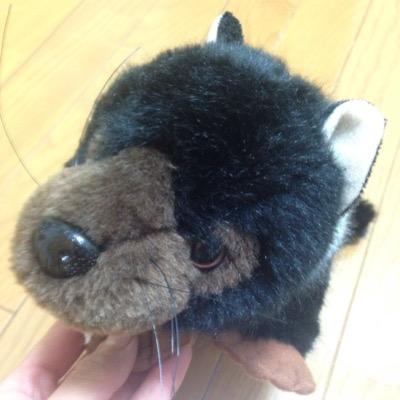 ドルオタ。時々弁護士。
この場所へいらっしゃいませ