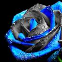 Tia Waters - @TiaWaters9 - Twitter