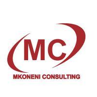 MkoneniC's profile picture. Mkoneni Consulting is completely owned by women that have extensive experience in Consulting and training and development.