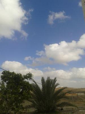 يديمك لي