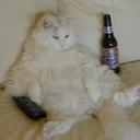 Adrian Neumann - @gustavcoc - Twitter