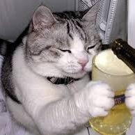 会える人募集しています。
フォロバします。
